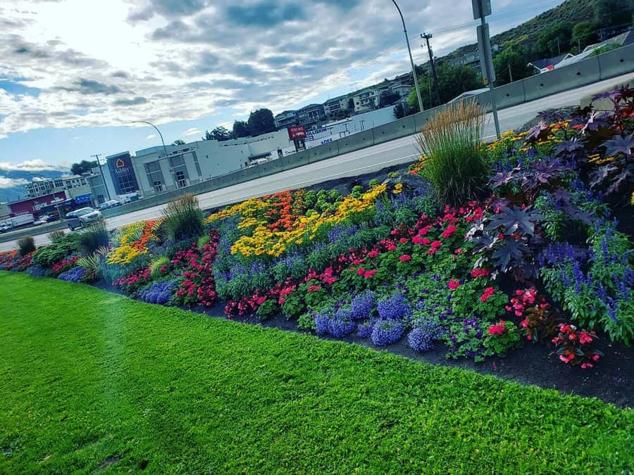 Geometric flower bed