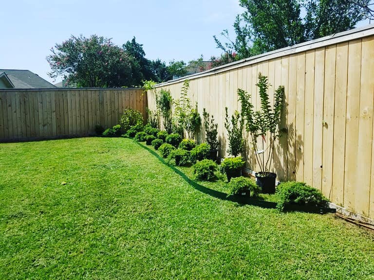 Fencing with landscaping