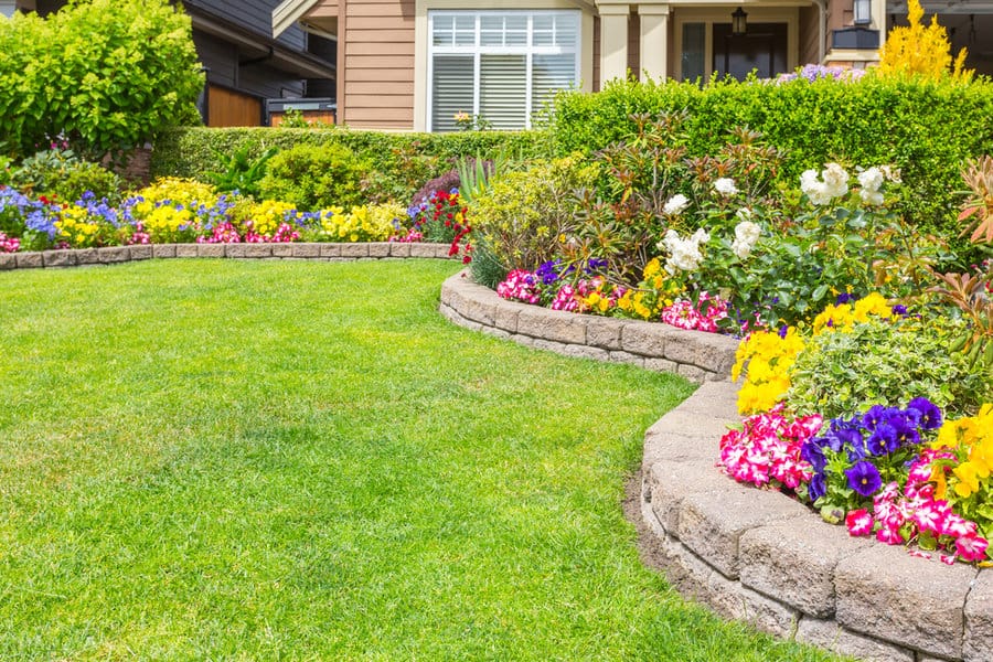 Lush lawn with curved flower beds and colorful blooms