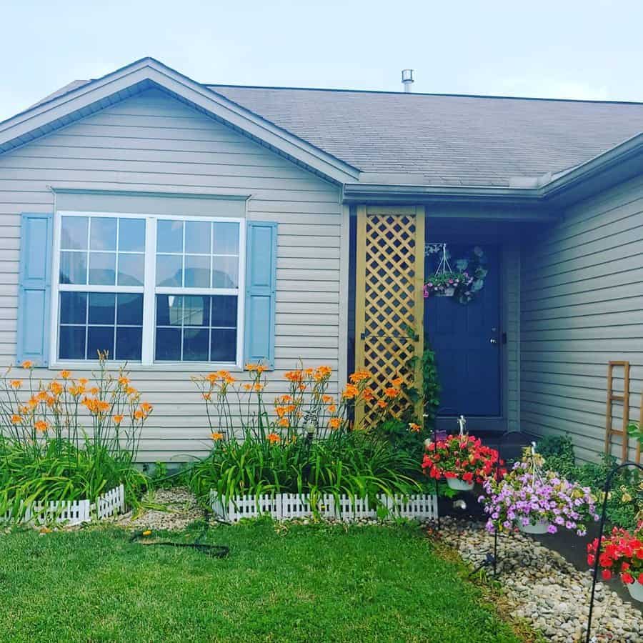 Daylilies flower bed