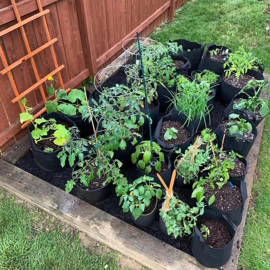 Small backyard with garden