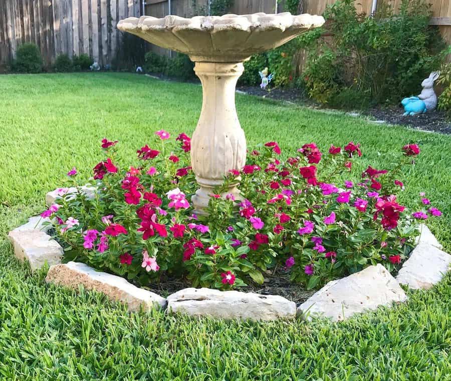 Petunia flower bed