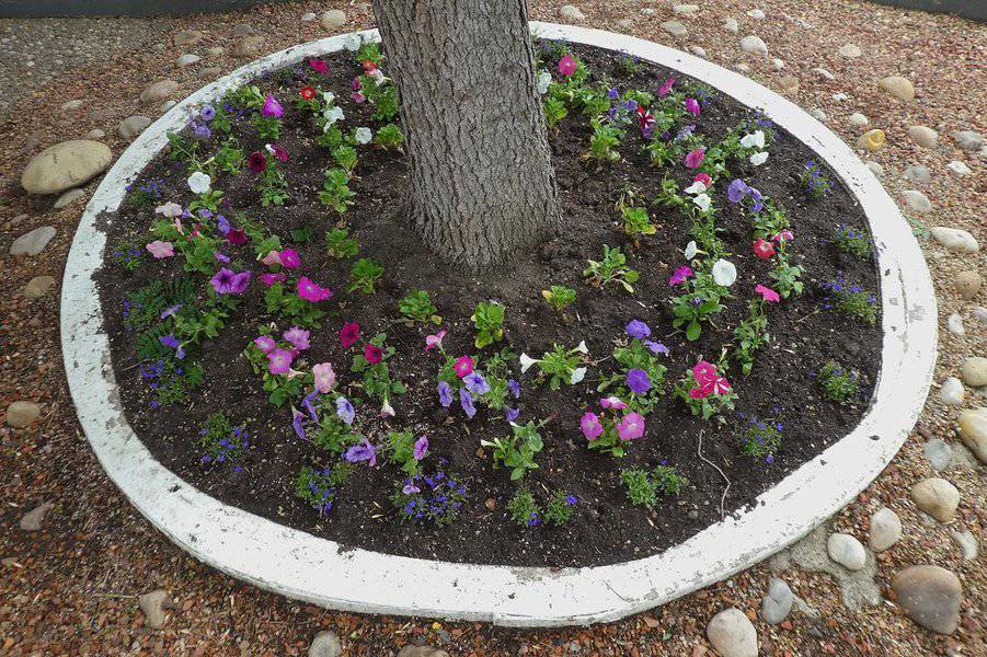 Round flower bed around a tree