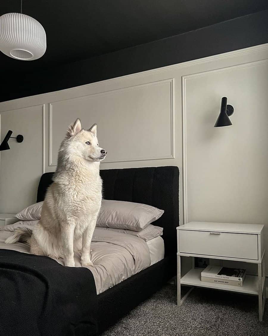 Black and white bedroom with wall trimming