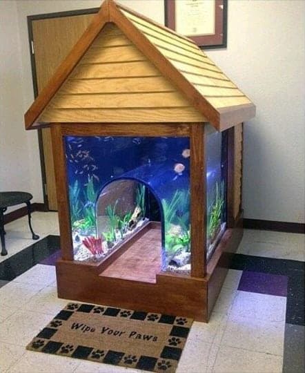 Aquarium themed dog house