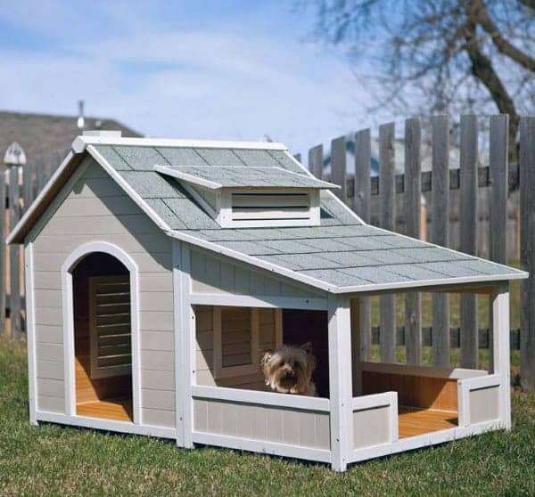 Dog mansion