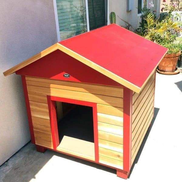 Red dog house