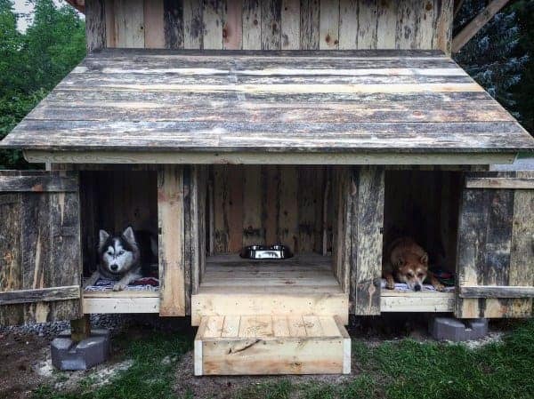Barn style dog house