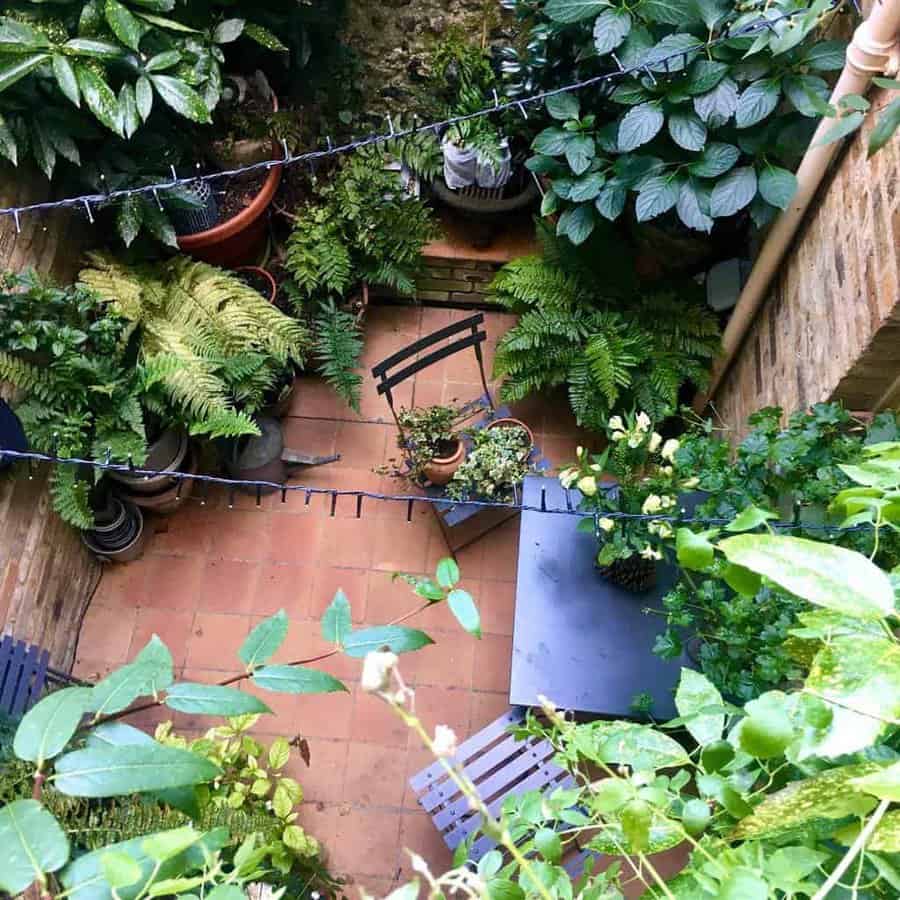 Tropical patio garden