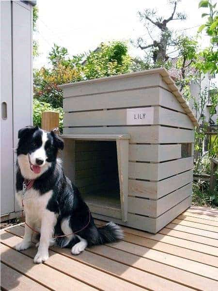 Cabin shiplap dog house