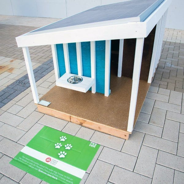 White and blue dog house