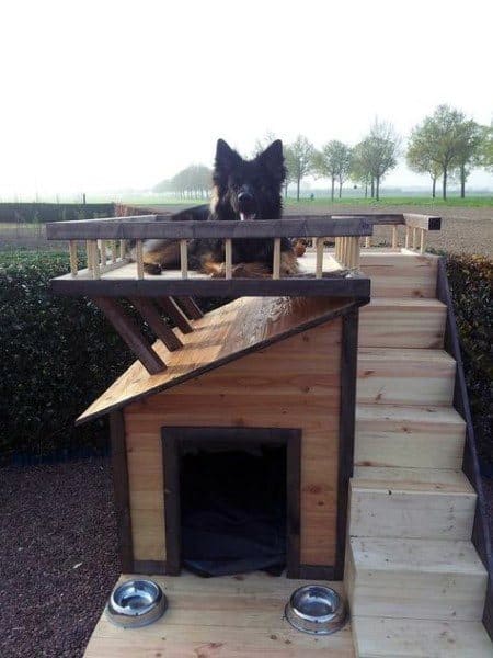 Cabin shiplap dog house